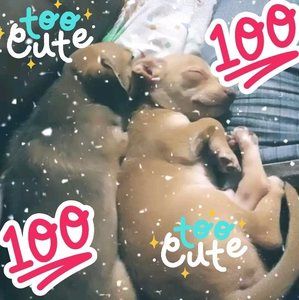 Meet your Posher, Deborah